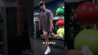 Quad Focused Bulgarian Split Squat (Exercise Index)