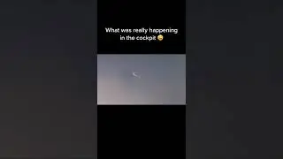 What Was Really Happening In The Cockpit #planecrash #sad🛫✈️