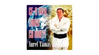Aurel Tamas - Sub padurea cea de fag