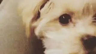 Coco from Instagram / 20180202