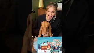 Le hice una SORPRESA a mi PERRITO! 🥹🐶🌭 (día 1) 😱