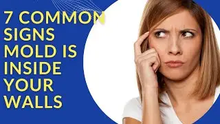 7 Common Signs Mold Is Inside Your Walls ( Mold Testing Rehoboth Beach Delaware)
