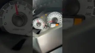 Муха вывела из строя внедорожник