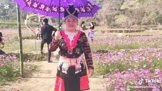 Maiv mim huj kwv txhiaj tsis muaj siab tiag txhob dag kuv 8/3/2025