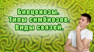 Биоценозы. Типы симбиозов. Виды связей