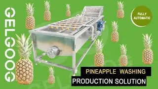 Commercial Pineapple Washing Machine|Air Bubble Pineapple Fruit Washing Machine