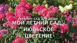 Мой летний сад//Июльское цветение