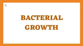 Bacterial Growth Curve | Bacterial Growth Cycle | How to Calculate Exponential Growth of Bacteria