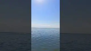 Санкт-Петербург Финский залив пляж Ласковый