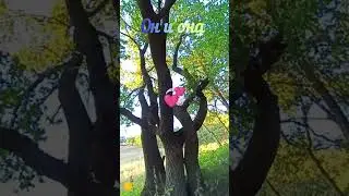 #саратов#1августа #деревья#лето #взаимнаялюбовь #природа