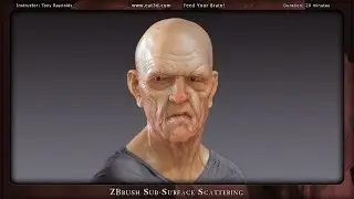 ZBrush Sub-Surface Scattering
