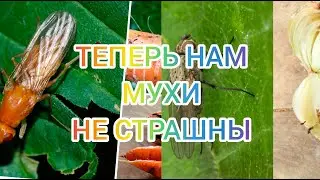 Морковь с луком.... И только ТАК🙌