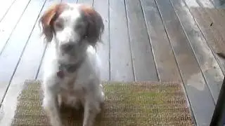 Diamonddoor.MP4