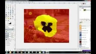 Gimp 2.8 Tools Tutorial - How to use Selection Tools
