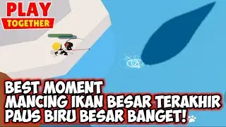best moment big fish fishing play together blue whale last rare fish