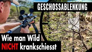 ACHTUNG JÄGER: Verhindere Fehlschüsse durch Äste (Präzise & Ethische Jagd) | JAGD TOTAL