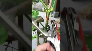 كماشة متطورة استعملها في المزرعة