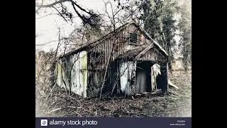 I found a Creepy Tin church in the Woods