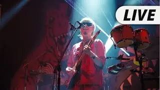 Kroi - Small World (Live from 