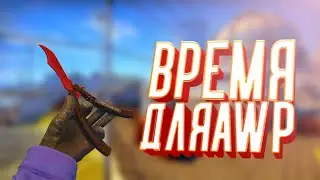 №41 CS:GO Время для AWP