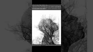 How To Create An Double Exposure Effect in Photoshop 