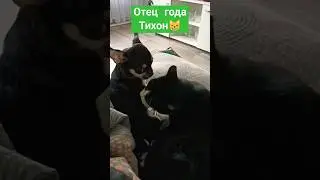 КОТОПËС😸🐕