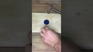 Hazelnut Cracking Tip | How to Make Nutcracker with a Plastic Bottle Cap? | Pet Bottle Recycling
