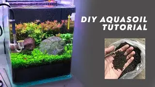 DIY Aquascape Soil 1st version with final result on 95 days old tank