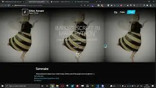 import maya script