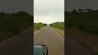 Pakistan Near Indo Pak border #indopakborder #sidhumoosewala
