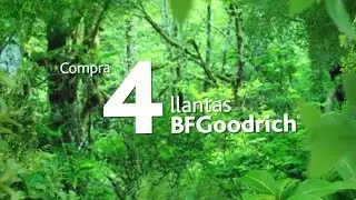 BFGoodrich Promoción Fin de Año