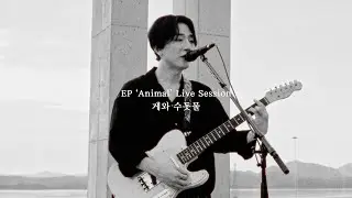 쏜애플(THORNAPPLE) - '게와 수돗물' (Crab and Tap Water)