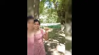 Летние каникулы