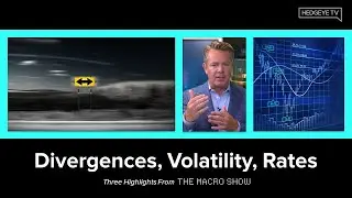 The Macro Show Highlights: Divergences, Volatility, Rates