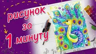 Детские рисунки. Рисуем Павлина
