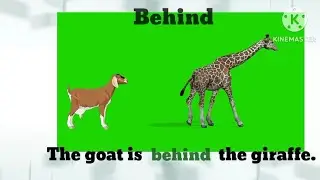 prepositions for children in nursery & preschool.learn some prepositions