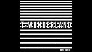 Tunç Çakır - T-Wonderland