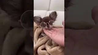 THE GLASSES AT THE END, I CANNOT HANDLE THE CUTENESS 😭❤️