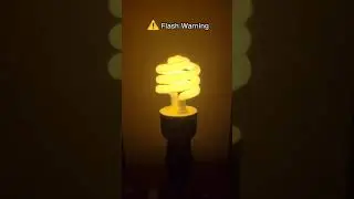Here's why all house lights technically flicker. 
