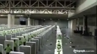 【面白動画】人間ドミノ倒し