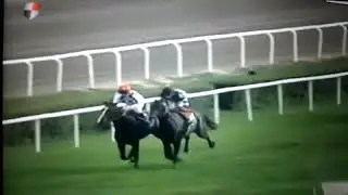 Bold pilot inanılmaz koşu