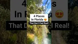 📍 Amazing Places in Florida 😍 #florida #visitflorida #travel #floridaadventures #traveltips #nature