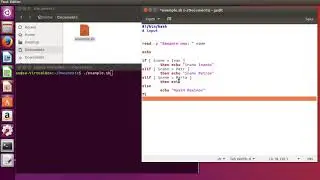 Linux command exit - command interrupt of script.