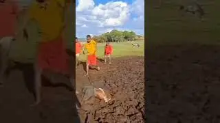 Best backflip ever