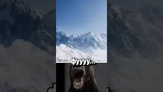 Ох уж эти тик таки 