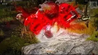 Black Desert online - Warrior Grinding! - Lvl 50!