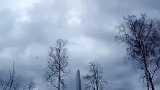Хорошая стрельба стендовика влёт на охоте из МЦ-8-4. Легендарное ружьё!!!