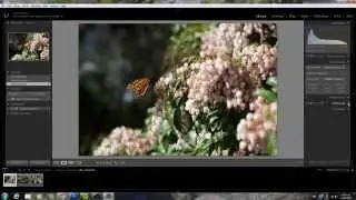Importing and Exporting from Lightroom 5 Tutorial