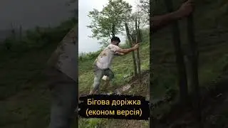 Бігова доріжка (економ версія)