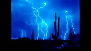Pawshter - Thunder (House)